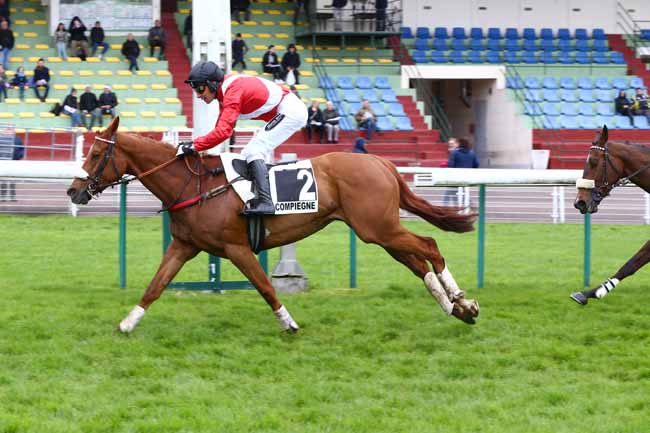 Photo d'arrivée de la course pmu PRIX DU GRAND MARECHAL à COMPIEGNE le Mardi 25 avril 2023