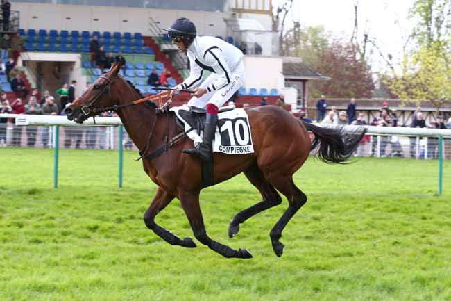 Photo d'arrivée de la course pmu PRIX HOPPER à COMPIEGNE le Mardi 25 avril 2023