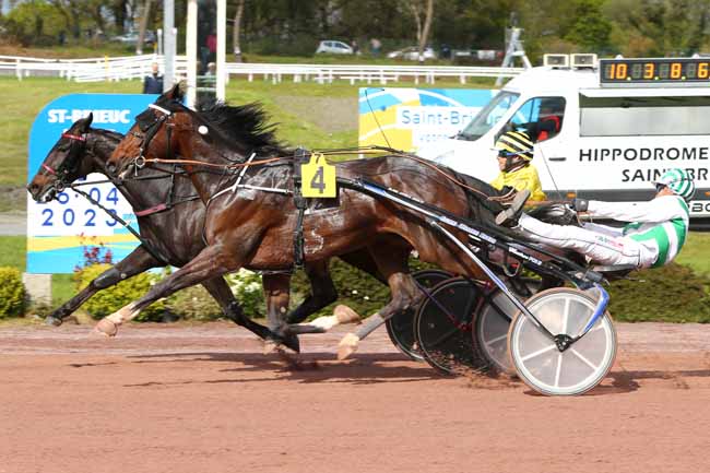 Photo d'arrivée de la course pmu PRIX DU PMU 