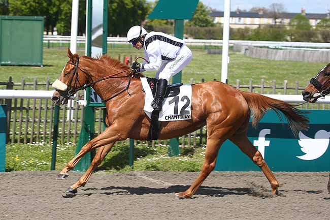 Photo d'arrivée de la course pmu PRIX DE L'ALLEE DE LA PLAINE à CHANTILLY le Vendredi 28 avril 2023