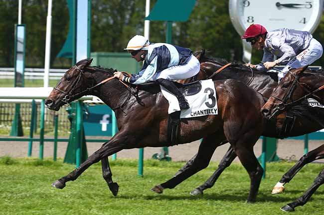 Photo d'arrivée de la course pmu PRIX DE LA SALLE DU SANGLIER à CHANTILLY le Vendredi 28 avril 2023