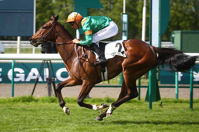 Photo d'arrivée de la course pmu PRIX DE LA ROUTE DE LA DUCHESSE à CHANTILLY le Vendredi 28 avril 2023