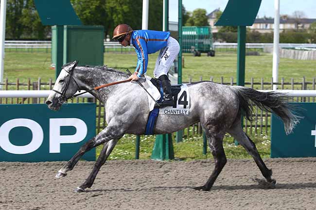 Photo d'arrivée de la course pmu PRIX DE L'ALLEE DE LA PETITE HAIE à CHANTILLY le Vendredi 28 avril 2023