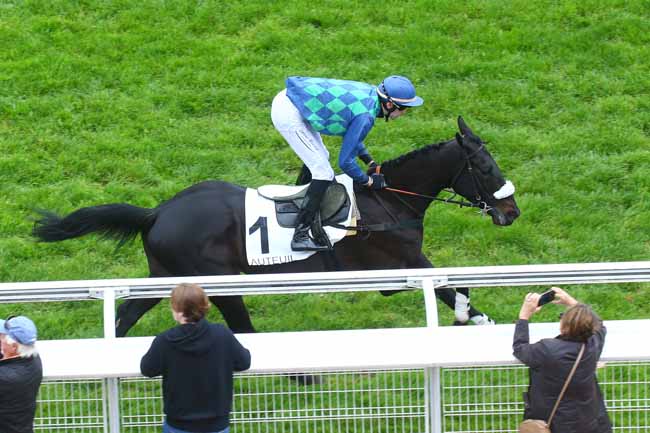 Photo d'arrivée de la course pmu PRIX AMADOU à AUTEUIL le Samedi 29 avril 2023