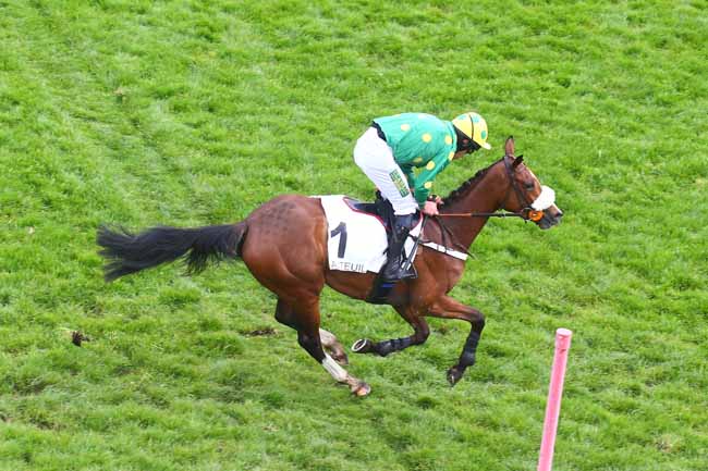 Photo d'arrivée de la course pmu PRIX GIROFLA à AUTEUIL le Samedi 29 avril 2023