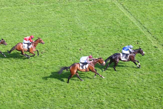 Photo d'arrivée de la course pmu PRIX ROGER DUCHENE - GRAND PRIX DES JEUNES JOCKEYS à AUTEUIL le Samedi 29 avril 2023