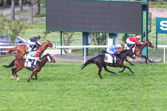 Photo d'arrivée de la course pmu PRIX DE LA GENEVRAYE à SAINT CLOUD le Lundi 1 mai 2023