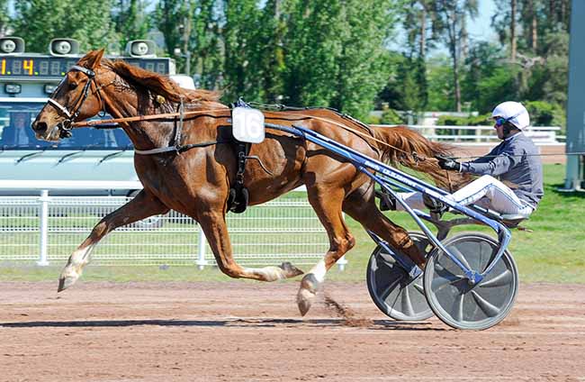 Photo d'arrivée de la course pmu PRIX DU SICHON à VICHY le Mercredi 3 mai 2023