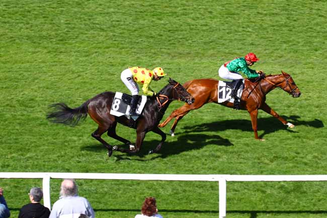 Photo d'arrivée de la course pmu PRIX DES ALISIERS à FONTAINEBLEAU le Mercredi 3 mai 2023