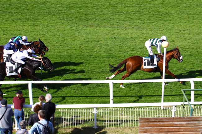 Photo d'arrivée de la course pmu PRIX DES NOYERS à FONTAINEBLEAU le Mercredi 3 mai 2023