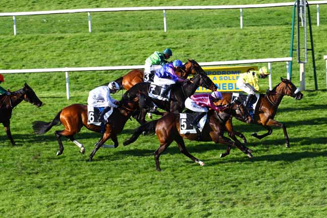 Photo d'arrivée de la course pmu PRIX DES NOISETIERS à FONTAINEBLEAU le Mercredi 3 mai 2023