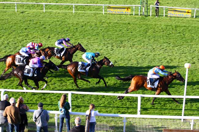 Photo d'arrivée de la course pmu PRIX DES SEQUOIAS à FONTAINEBLEAU le Mercredi 3 mai 2023