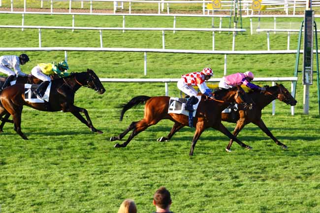 Photo d'arrivée de la course pmu PRIX DE LA MARE AUX FEES à FONTAINEBLEAU le Mercredi 3 mai 2023