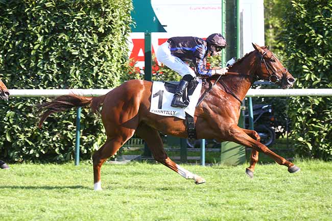 Photo d'arrivée de la course pmu PRIX DE LA FRANCILIENNE à CHANTILLY le Jeudi 4 mai 2023