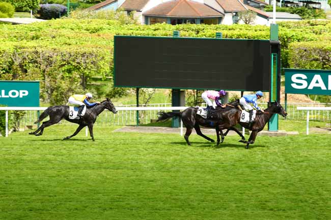Photo d'arrivée de la course pmu PRIX ALEC CARTER à SAINT CLOUD le Vendredi 5 mai 2023