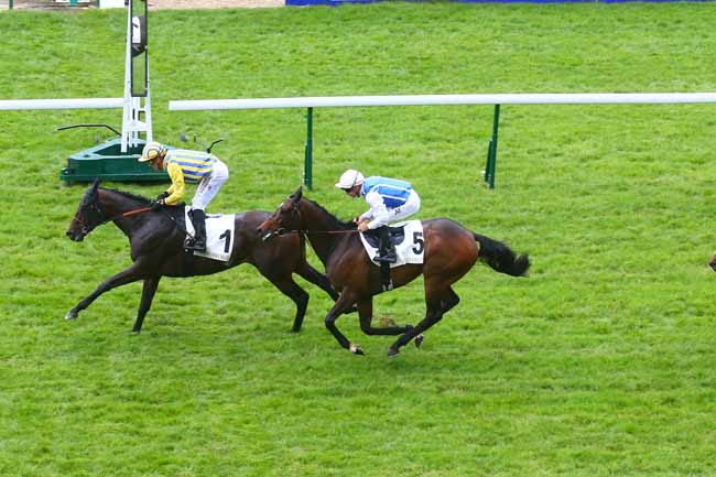 Photo d'arrivée de la course pmu PRIX D'HEDOUVILLE à LONGCHAMP le Dimanche 7 mai 2023
