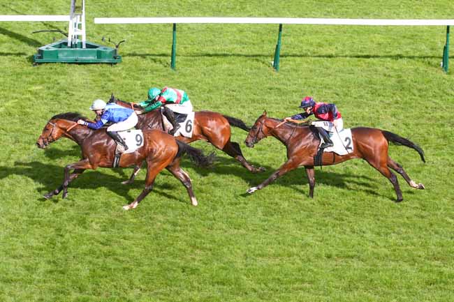 Photo d'arrivée de la course pmu PRIX DES BATIGNOLLES à LONGCHAMP le Dimanche 7 mai 2023
