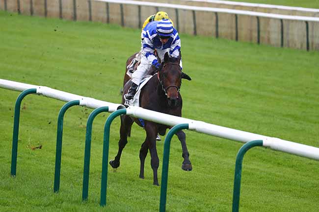 Photo d'arrivée de la course pmu PRIX DE GUICHE à CHANTILLY le Mardi 9 mai 2023