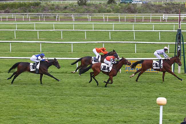 Photo d'arrivée de la course pmu PRIX DES MARAIS à FONTAINEBLEAU le Mercredi 10 mai 2023