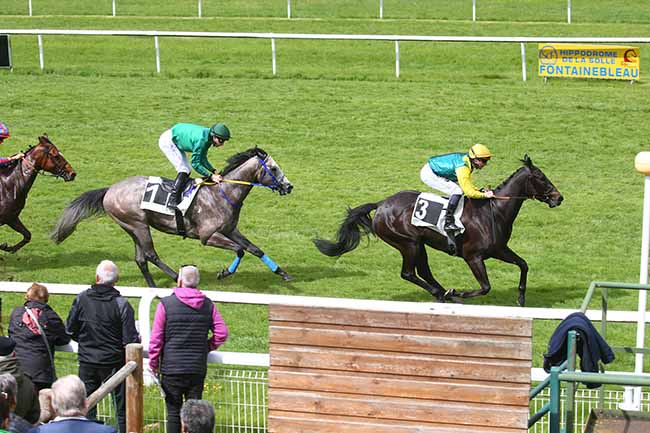 Photo d'arrivée de la course pmu PRIX DE LA SEM DU PAYS DE FONTAINEBLEAU (PRIX DES ORMES) à FONTAINEBLEAU le Mercredi 10 mai 2023