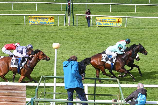 Photo d'arrivée de la course pmu PRIX DU ROCHER DES DEMOISELLES à FONTAINEBLEAU le Mercredi 10 mai 2023