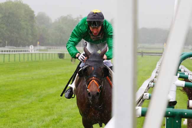 Photo d'arrivée de la course pmu PRIX TERI AC à COMPIEGNE le Mercredi 10 mai 2023