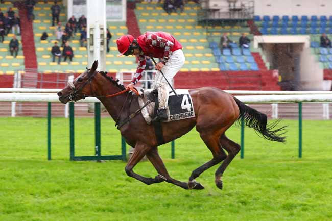 Photo d'arrivée de la course pmu PRIX NIVOLET à COMPIEGNE le Mercredi 10 mai 2023