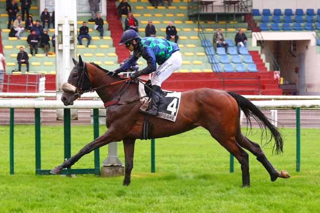 Photo d'arrivée de la course pmu PRIX DE SOSPEL à COMPIEGNE le Mercredi 10 mai 2023