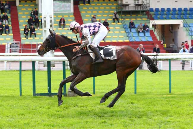 Photo d'arrivée de la course pmu PRIX DU MORBIHAN à COMPIEGNE le Mercredi 10 mai 2023
