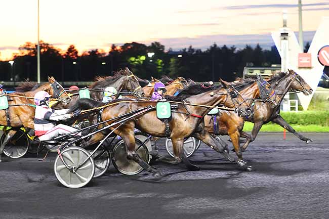 Photo d'arrivée de la course pmu PRIX DIPHDA à PARIS-VINCENNES le Vendredi 12 mai 2023