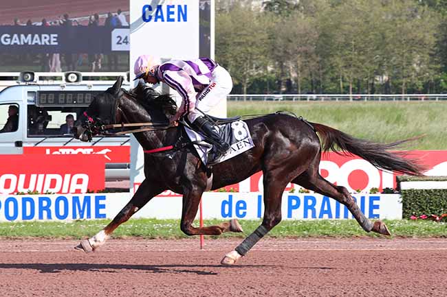 Photo d'arrivée de la course pmu PRIX PIERRE GAMARE à CAEN le Samedi 13 mai 2023