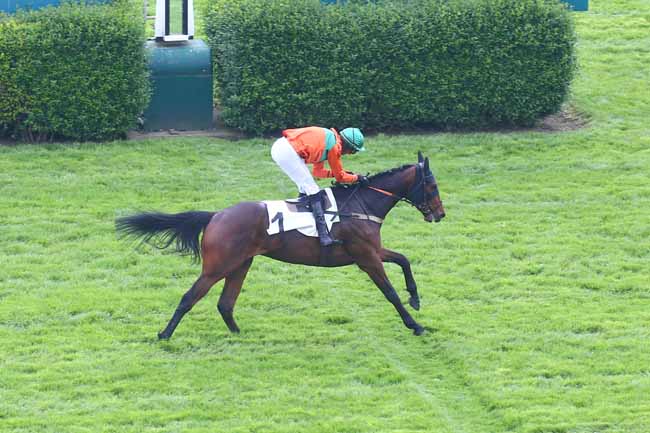 Photo d'arrivée de la course pmu PRIX REGALIA à AUTEUIL le Samedi 13 mai 2023