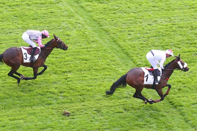Photo d'arrivée de la course pmu PRIX DU NIVERNAIS à AUTEUIL le Samedi 13 mai 2023
