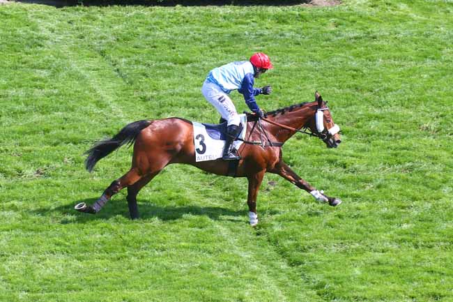 Photo d'arrivée de la course pmu PRIX POT D'OR à AUTEUIL le Samedi 13 mai 2023