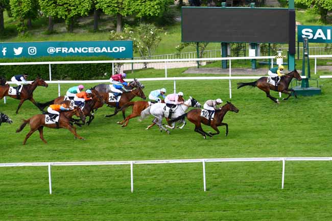 Photo d'arrivée de la course pmu PRIX PISTOL PACKER à SAINT CLOUD le Mardi 16 mai 2023