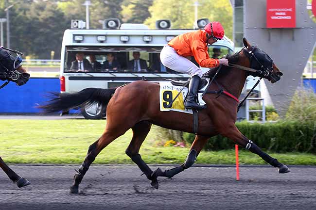 Photo d'arrivée de la course pmu PRIX NUWA à PARIS-VINCENNES le Mardi 16 mai 2023