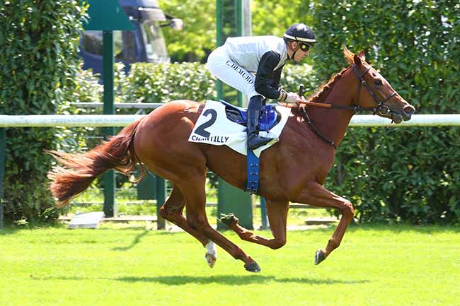 Photo d'arrivée de la course pmu PRIX DU MONT DE PO à CHANTILLY le Vendredi 19 mai 2023