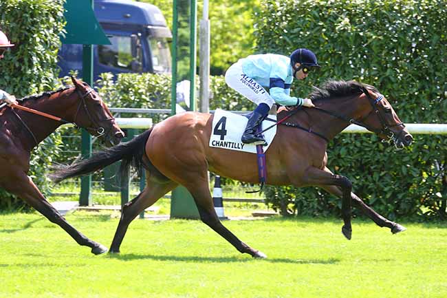 Photo d'arrivée de la course pmu PRIX TEXANITA à CHANTILLY le Vendredi 19 mai 2023