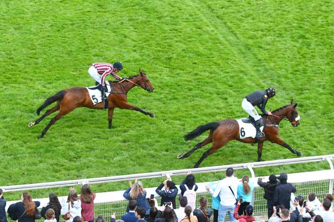 Photo d'arrivée de la course pmu PRIX LE GUALES DE MEZAUBRAN à AUTEUIL le Samedi 20 mai 2023