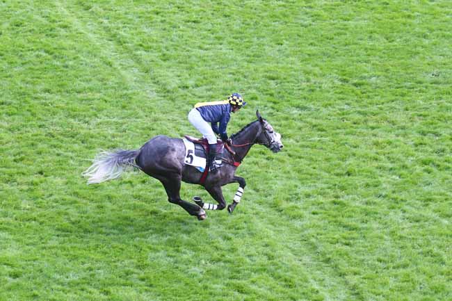 Photo d'arrivée de la course pmu PRIX LE PARISIEN - PRIX EX VOTO à AUTEUIL le Dimanche 21 mai 2023