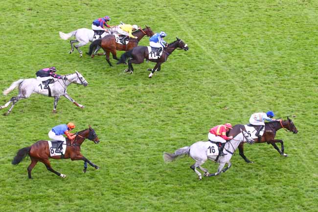 Photo d'arrivée de la course pmu PRIX RMC - PRIX TANERKO à AUTEUIL le Dimanche 21 mai 2023