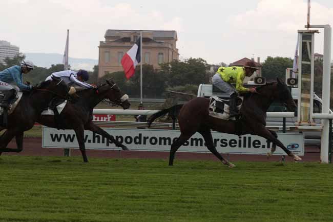 Photo d'arrivée de la course pmu PRIX DU PILON DU ROI à MARSEILLE BORELY le Lundi 22 mai 2023
