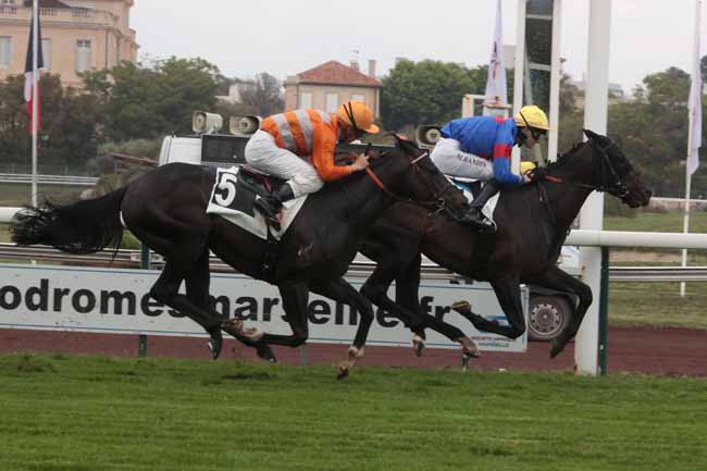 Photo d'arrivée de la course pmu PRIX BLANCHE à MARSEILLE BORELY le Lundi 22 mai 2023