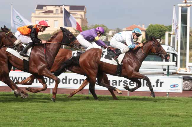 Photo d'arrivée de la course pmu PRIX ICA PATRIMOINE (PRIX DE LA COURONNE) à MARSEILLE BORELY le Lundi 22 mai 2023