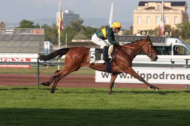 Photo d'arrivée de la course pmu PRIX DES LAURIERS à MARSEILLE BORELY le Lundi 22 mai 2023