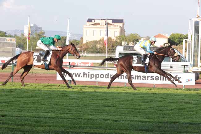 Photo d'arrivée de la course pmu PRIX DU PETIT CERCLE à MARSEILLE BORELY le Lundi 22 mai 2023