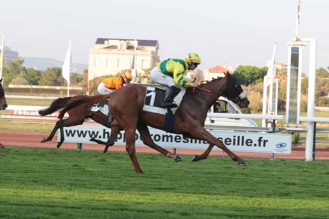 Photo d'arrivée de la course pmu PRIX DU ROVE à MARSEILLE BORELY le Lundi 22 mai 2023