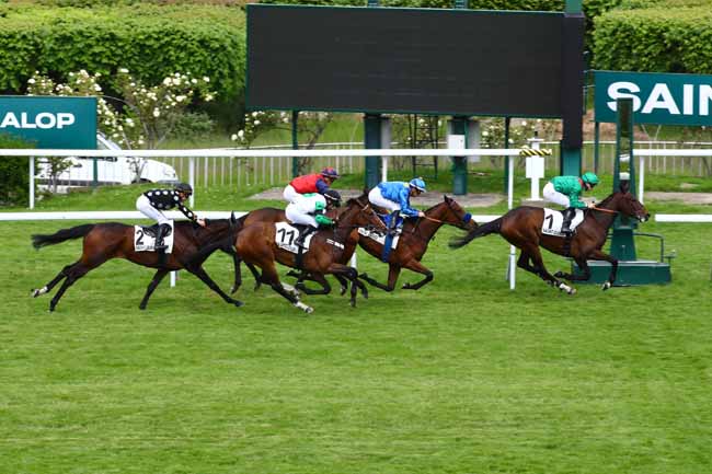 Photo d'arrivée de la course pmu PRIX POT AU FEU à SAINT CLOUD le Mardi 23 mai 2023