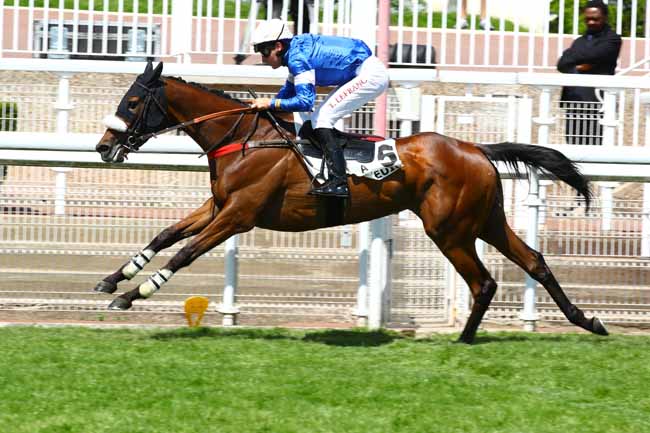 Photo d'arrivée de la course pmu PRIX GOPAL à AUTEUIL le Samedi 27 mai 2023