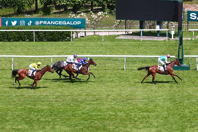 Photo d'arrivée de la course pmu PRIX ASTRONOMIE à SAINT CLOUD le Dimanche 28 mai 2023